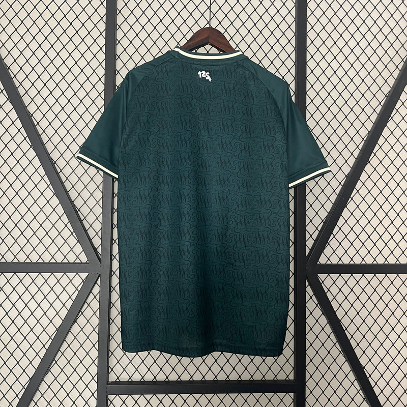 Sportverein Werder Bremen Special Edition Shirt 24/25 