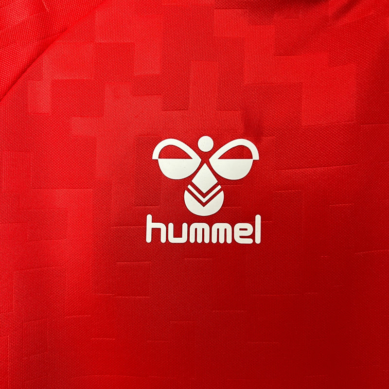 Camisa Seleção Dinamarca Home 2024
