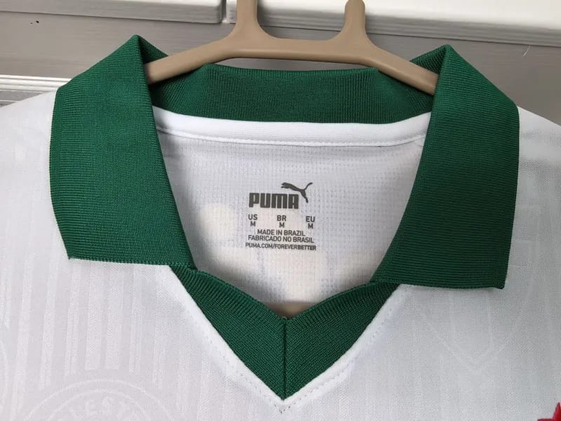 2024-25 Palmeiras Away 110 Anos Soccer Jersey